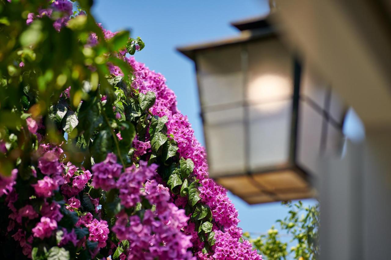 Villa Magnolia Cavtat Esterno foto